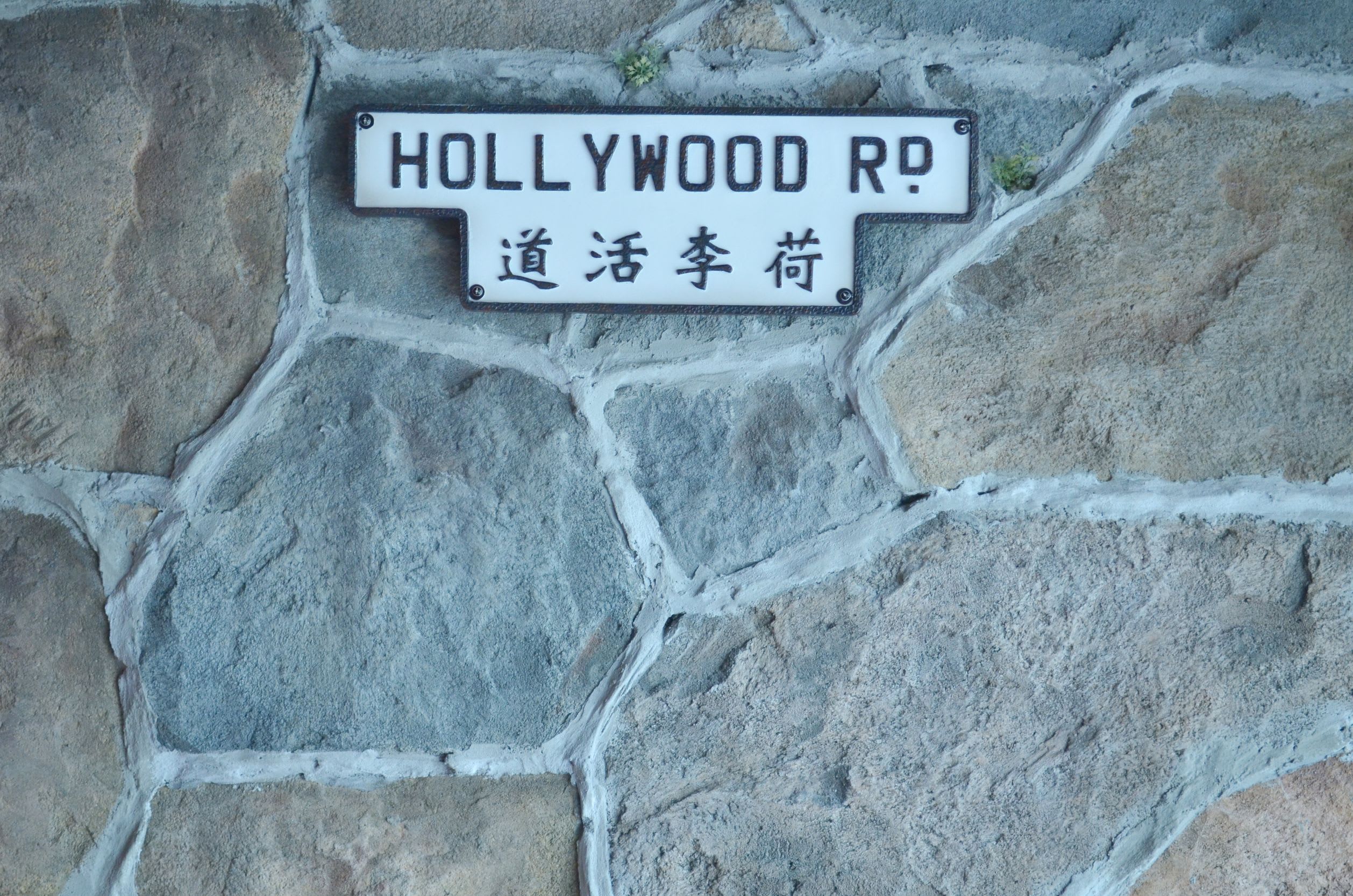 할리우드 거리
