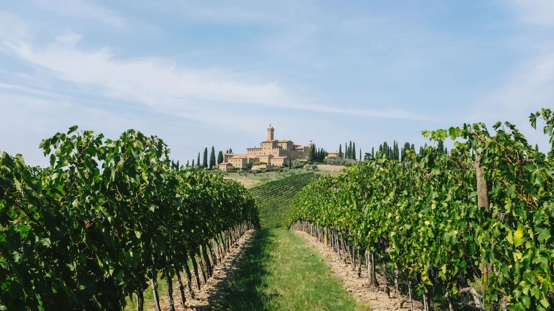 Castello Banfi