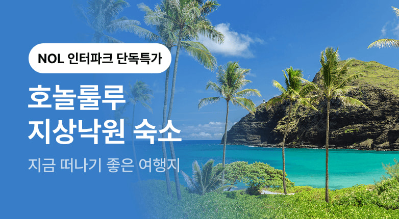 호놀룰루 기획전