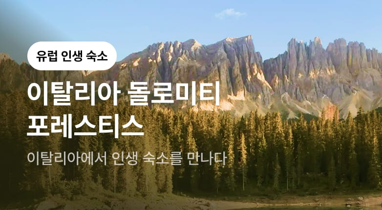 돌로미티를 가장 아름답게 만나는 방법 <포레스티스>