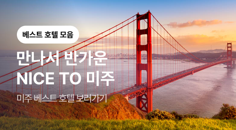 NICE TO 미주