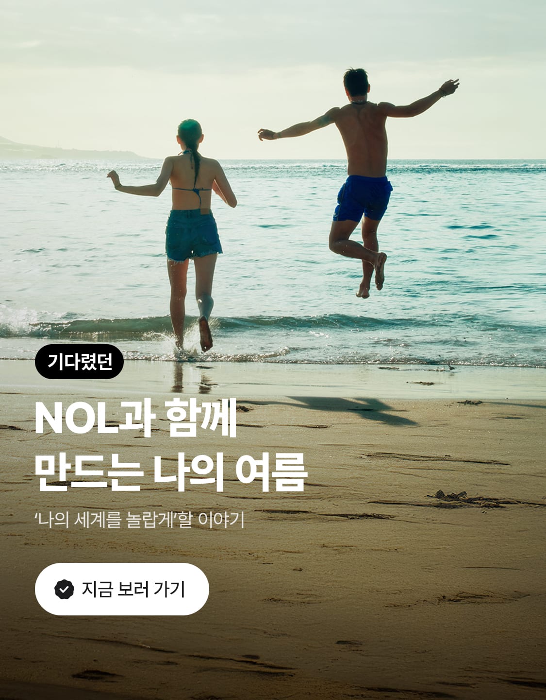 6/9_놀브랜딩