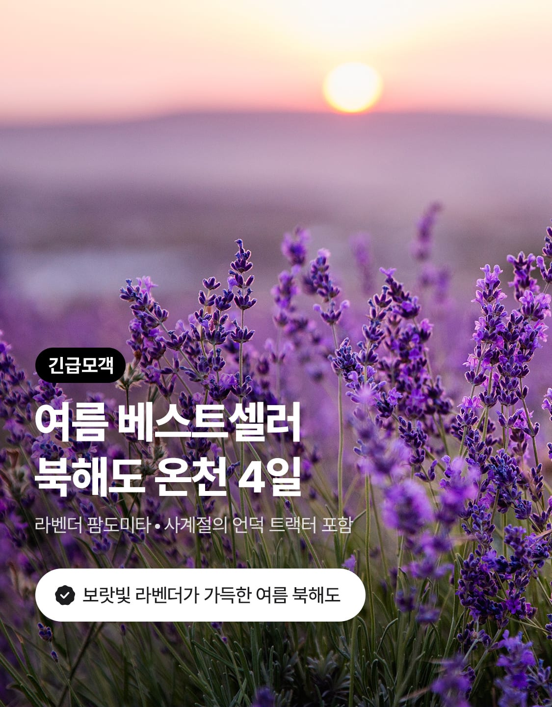 7/7_모투북해도