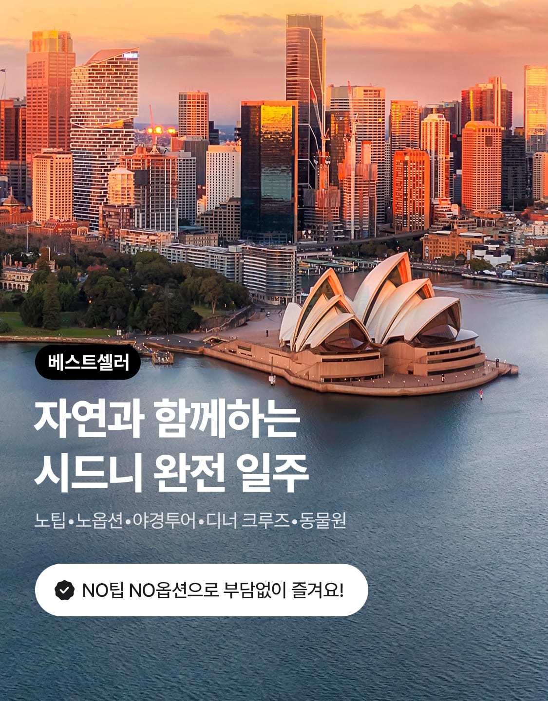 7/7_모투시드니