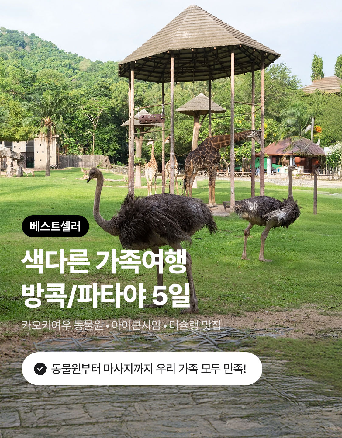 7/22_방콕파타야
