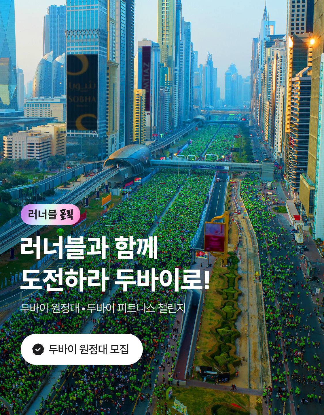 8/25_홀릭두바이