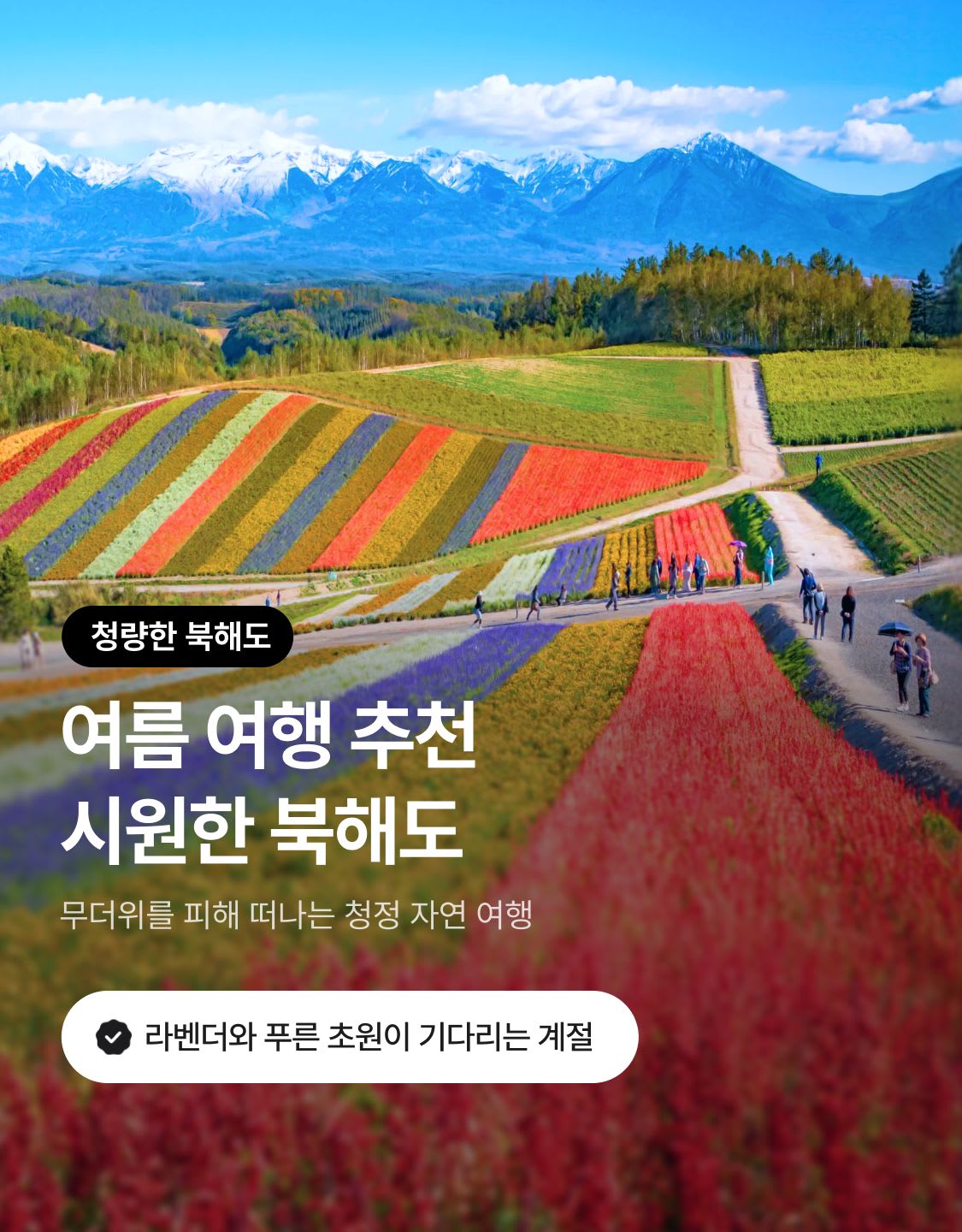 6/11 북해도