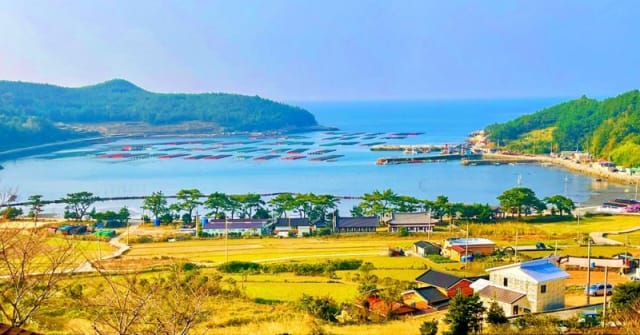 완도 청산도노을바다펜션